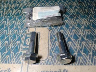 NOS camber bolts 171407265 171 407 265